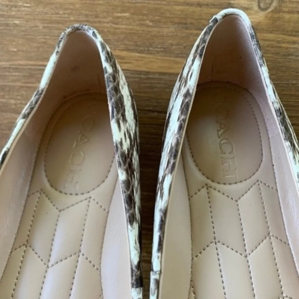 Coach Annabel Snake Print Pointed Toe Ballet Flats Sz 6.5 New! - Picture 8 of 13